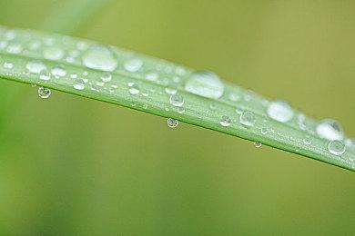 《豪麻》——一个黑色侦探故事，将于今年晚些时候登陆PC